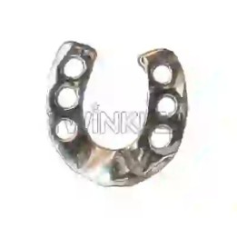 Strass DentairesFer à chevel