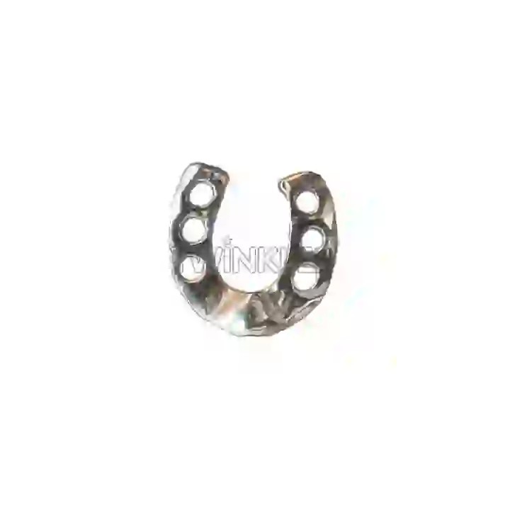 Strass DentairesFer à chevel