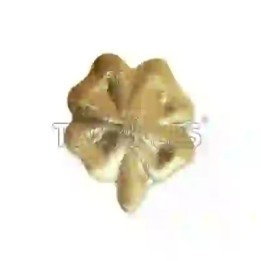 Strass DentairesTrèfle