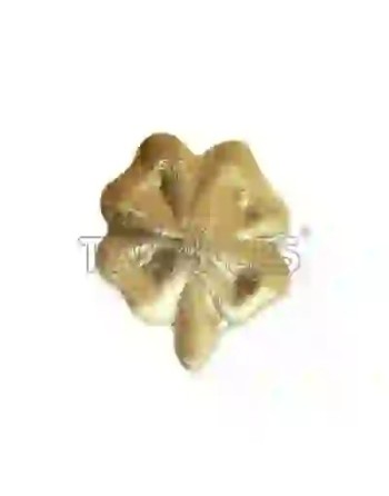 Strass DentairesTrèfle