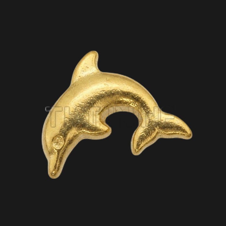 Strass DentairesDauphin