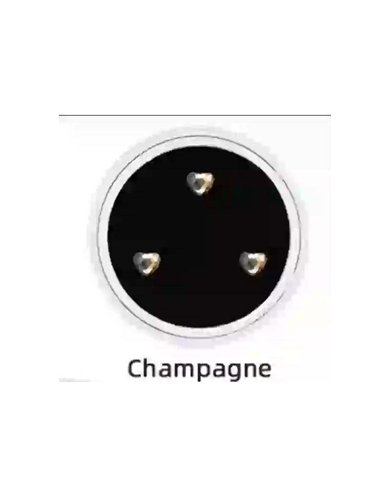 Strass DentairesBox 3 coeurs Champagne