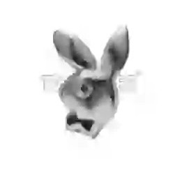 strassdentaires.com Play Boy White Gold