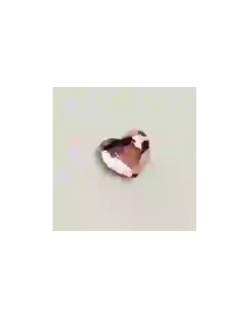 Strass DentairesCoeur Rose
