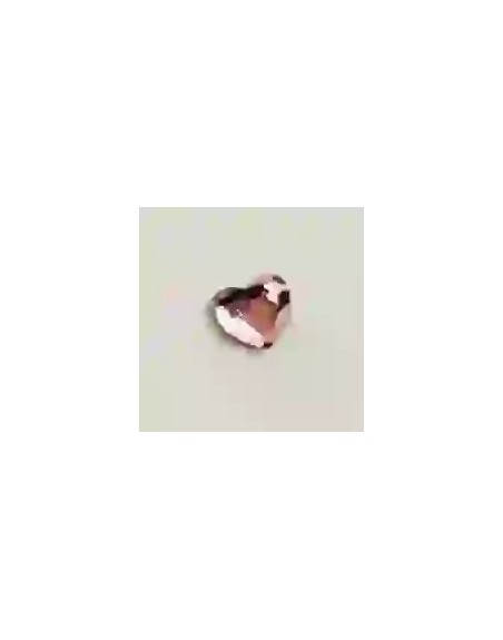 Strass DentairesCoeur Rose