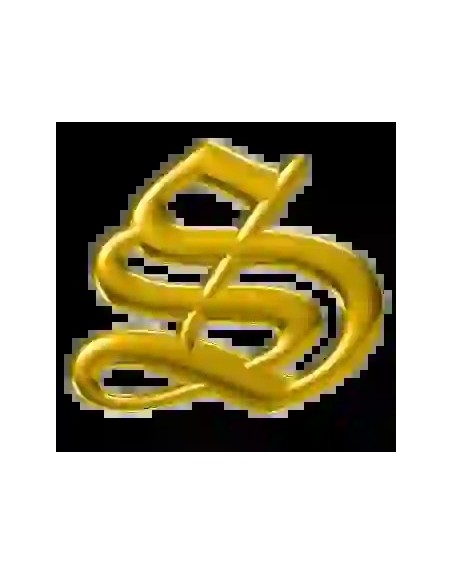 Strass DentairesLettre S