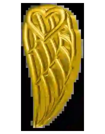 Strass DentairesAile