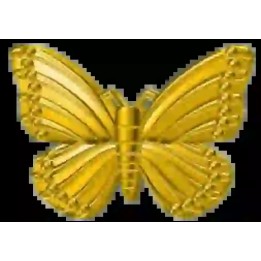 Strass DentairesPapillion L Gold