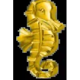 Strass Dentairescheval de mer