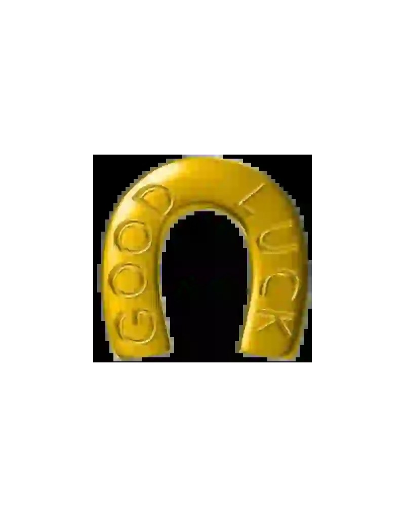 Strass Dentairesfer de cheval