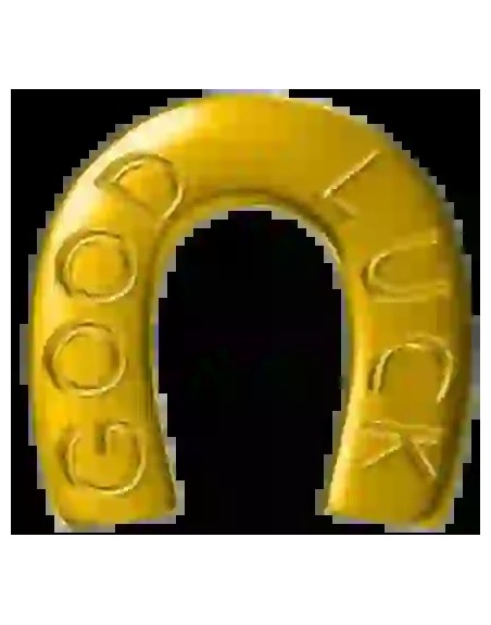 Strass Dentairesfer de cheval