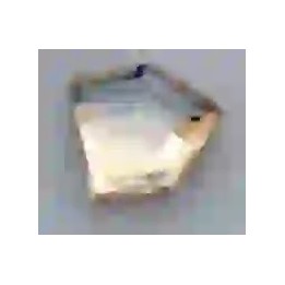 Strass DentairesShield 5*5mm Crystal Champagne