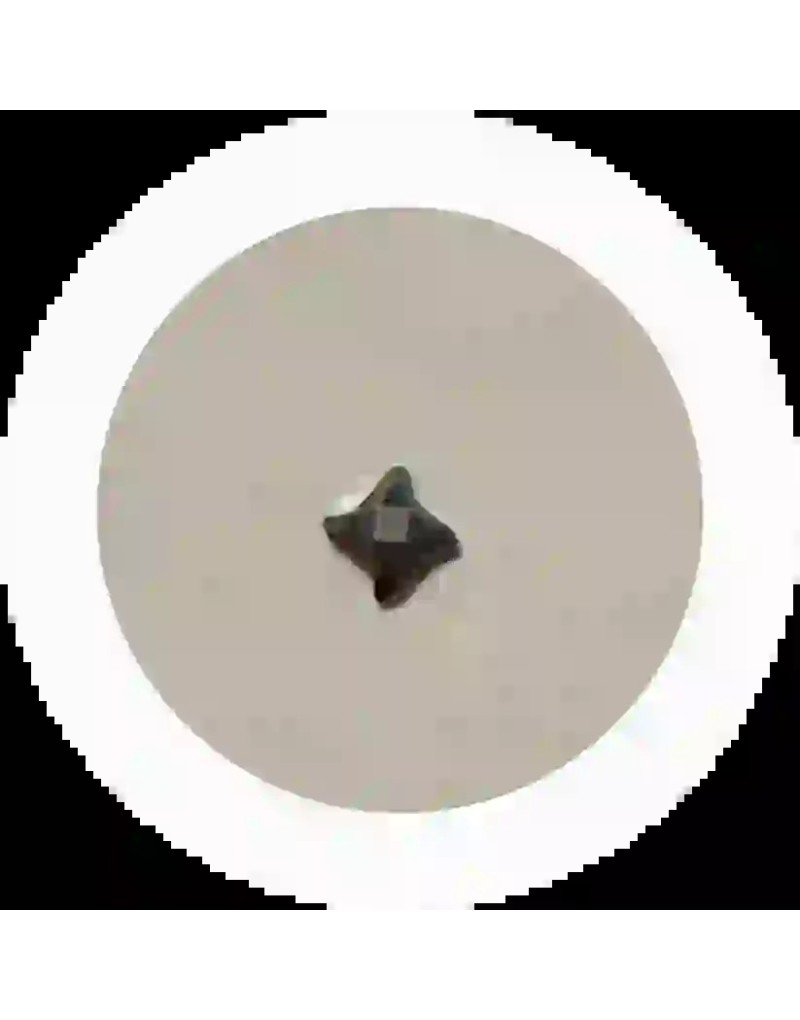 Strass DentairesDarts Crystal