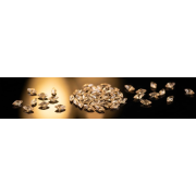 Baby's Aile Papillon 1.5 mm