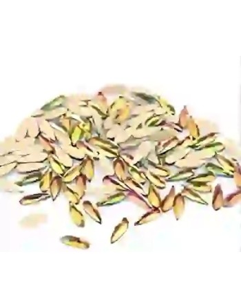 Goutte Rainbow 2*6mm - 1