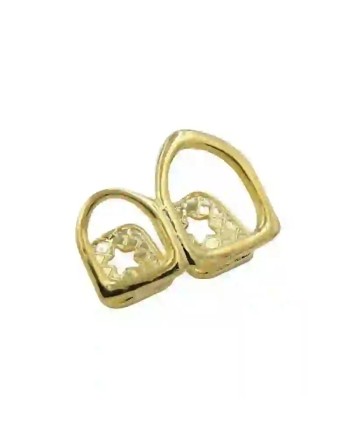 Double arceaux Gold - 7