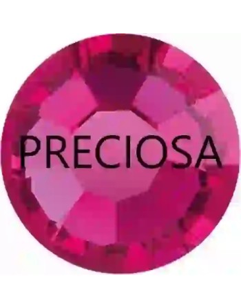 Fuchsia ss6 Preciosa - 1