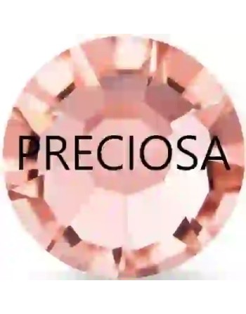 Preciosa Rose Peach - 1